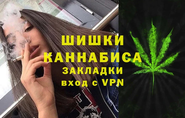 spice Аркадак