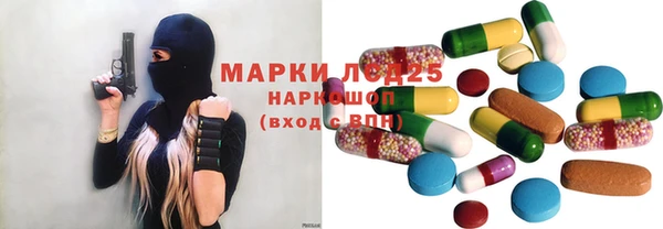 spice Аркадак