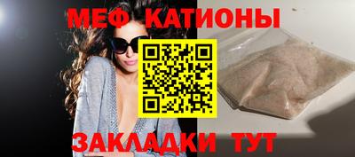дживик Можга