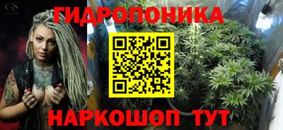 индика Можайск