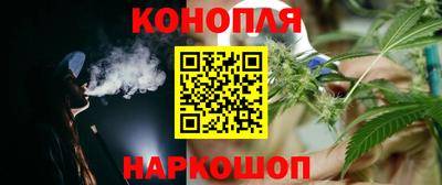 индика Можайск