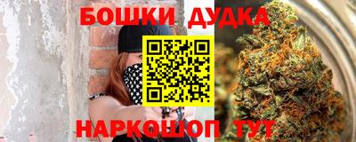 индика Можайск