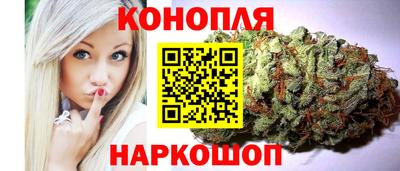 дживик Можга