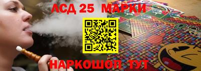 индика Можайск