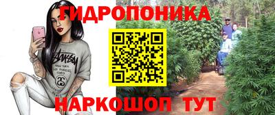 ПСИЛОЦИБИНОВЫЕ ГРИБЫ Моздок