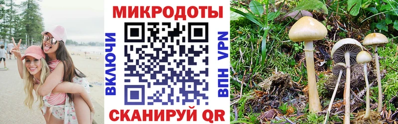 Купить закладки  Саратов  Псилоцибиновые грибы GOLDEN TEACHER 