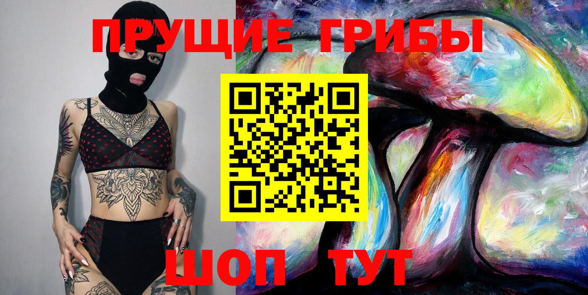 Псилоцибиновые грибы Psilocybe  Саратов  Галлюциногенные грибы Psilocybe 