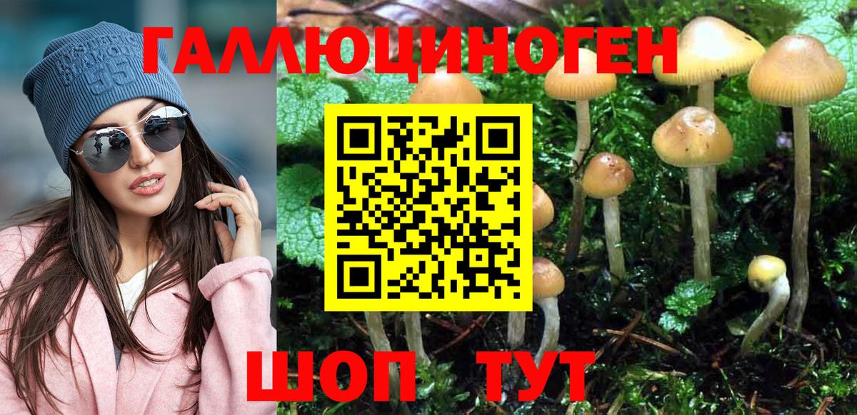 Псилоцибиновые грибы прущие грибы Саратов